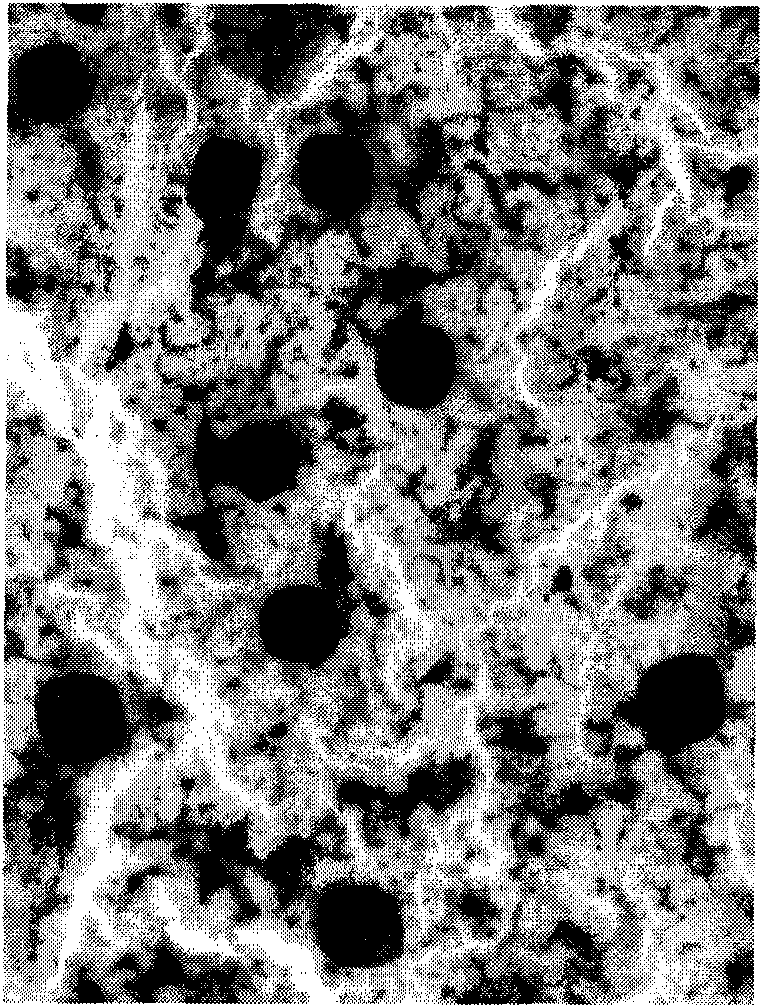 Acid amide-grafted sodium alginate nanometer material, preparation method thereof and use thereof