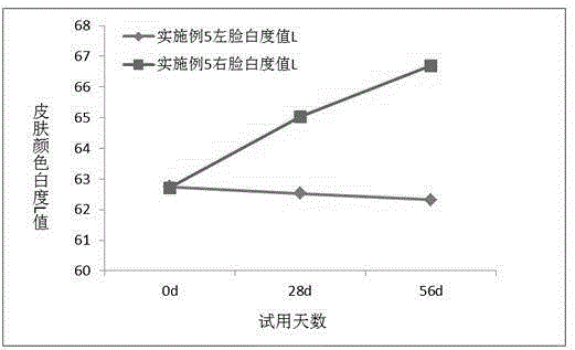 Skincare composition and application thereof in skin whitening