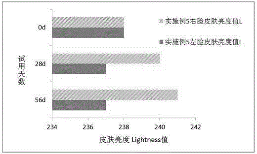 Skincare composition and application thereof in skin whitening