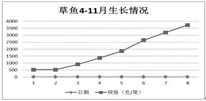 Method for cultivating Litopenaeus vannamei through circulating water fish-farming system