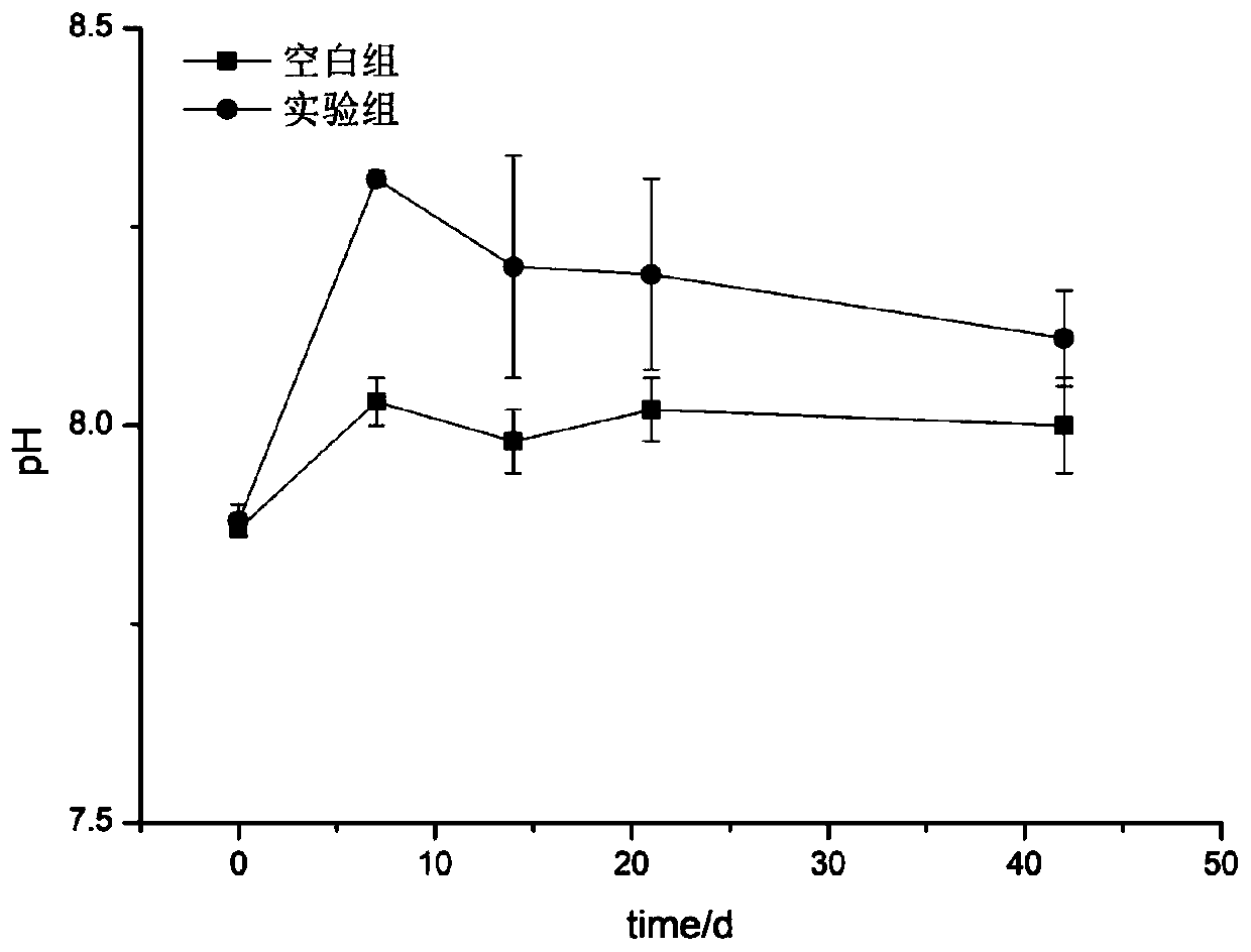 Composite material for removing alga-derived odorous substances in black and odorous water, and preparation method and application thereof