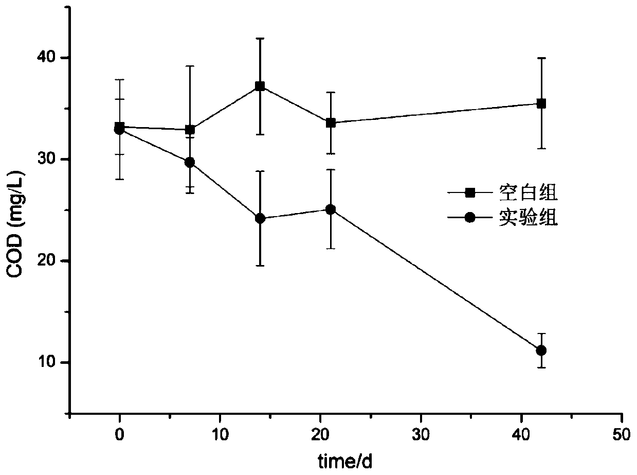 Composite material for removing alga-derived odorous substances in black and odorous water, and preparation method and application thereof