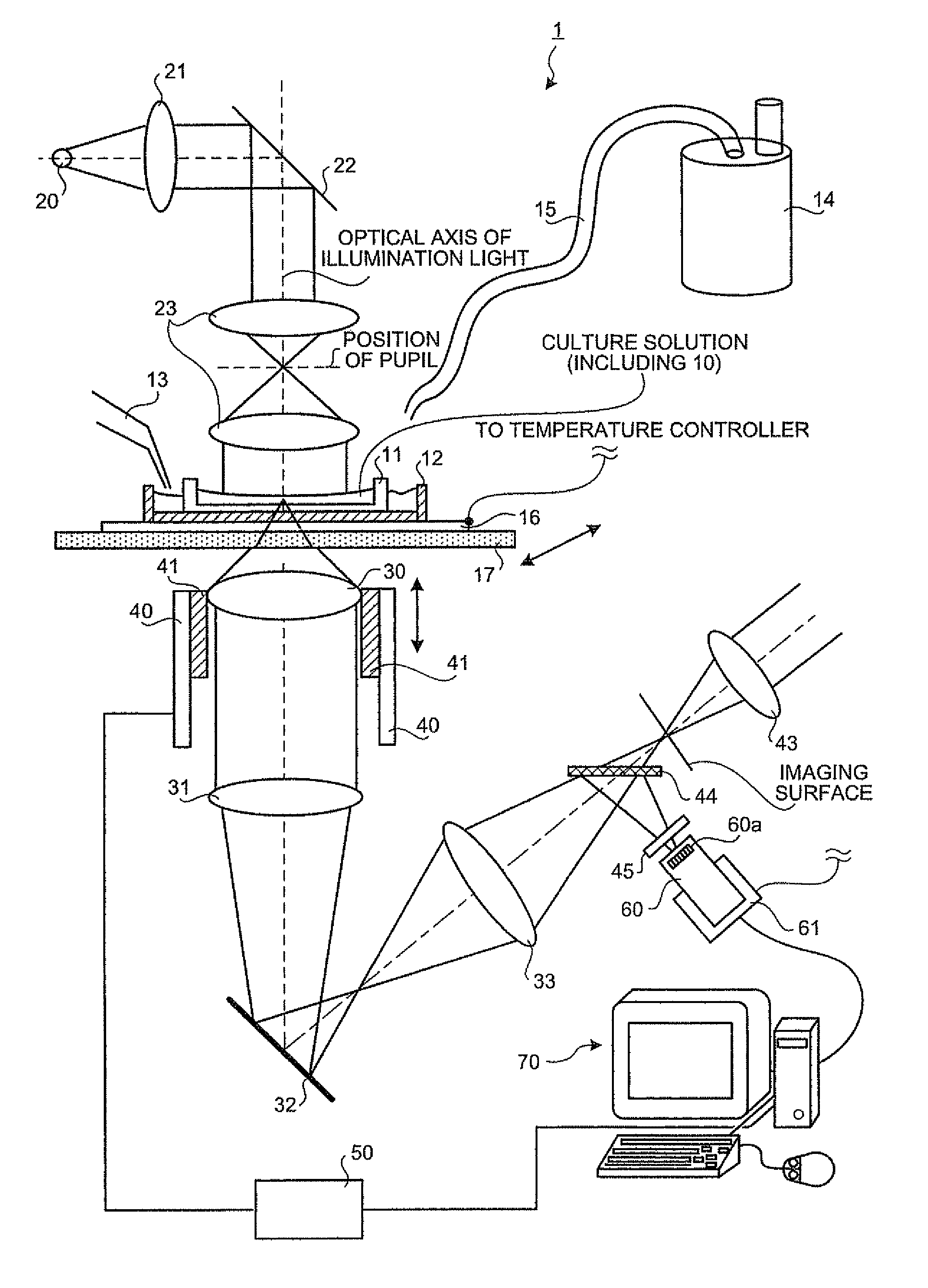 Focal position determining method, focal position determining apparatus, feeble light detecting apparatus and feeble light detecting method