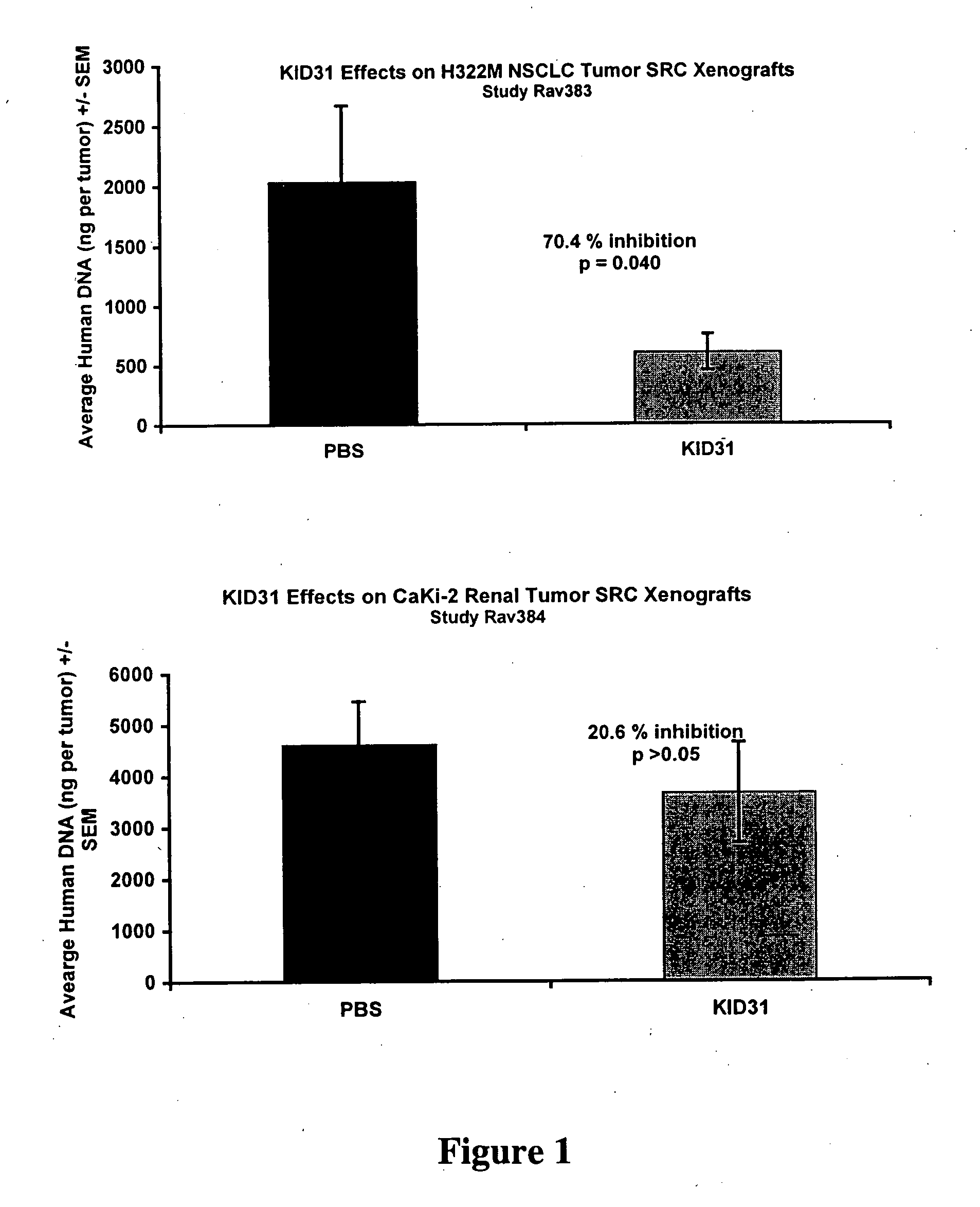 KID31 and antibodies that bind thereto