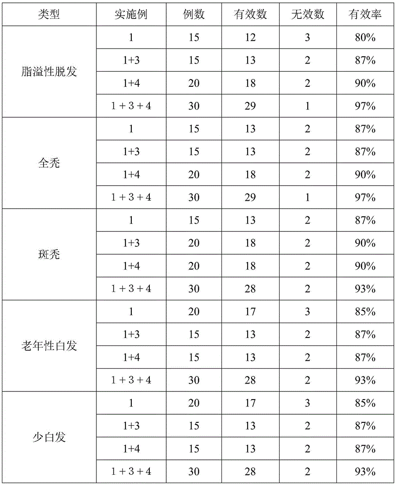 Traditional Chinese medicine composition as well as preparation method and application thereof