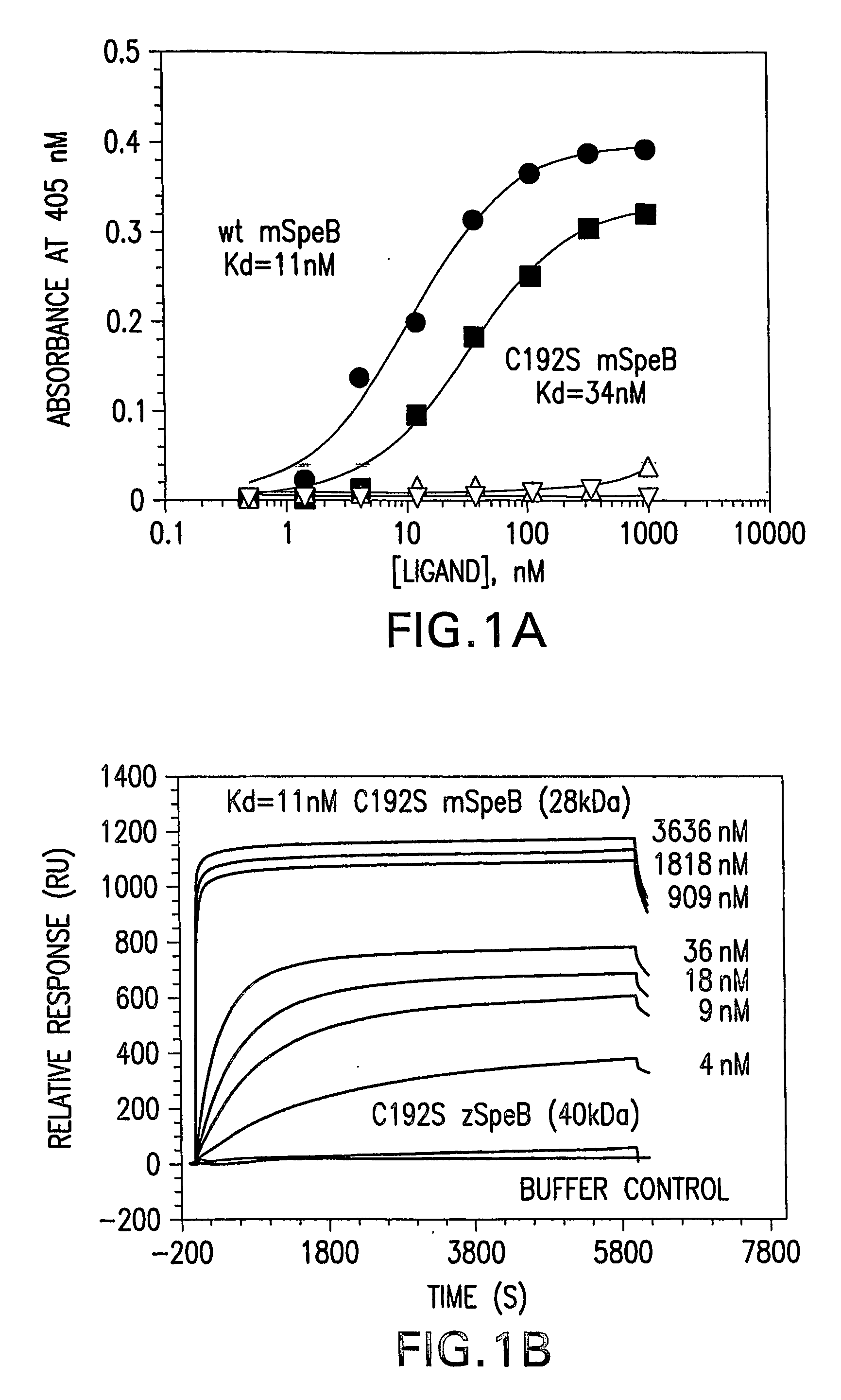 Recombinant expression of streptococcus pyogenes cysteine protease and immunogenic compositions thereof