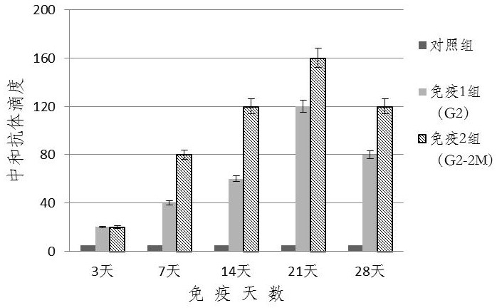 A kind of perch rhabdovirus g2-2m subunit vaccine and its preparation method