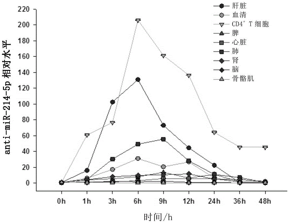 New precursor miRNA and applications of new precursor miRNA in tumor treatment