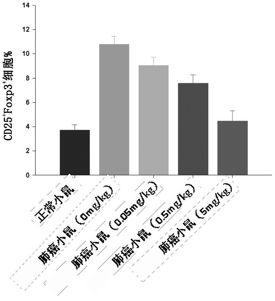 New precursor miRNA and applications of new precursor miRNA in tumor treatment