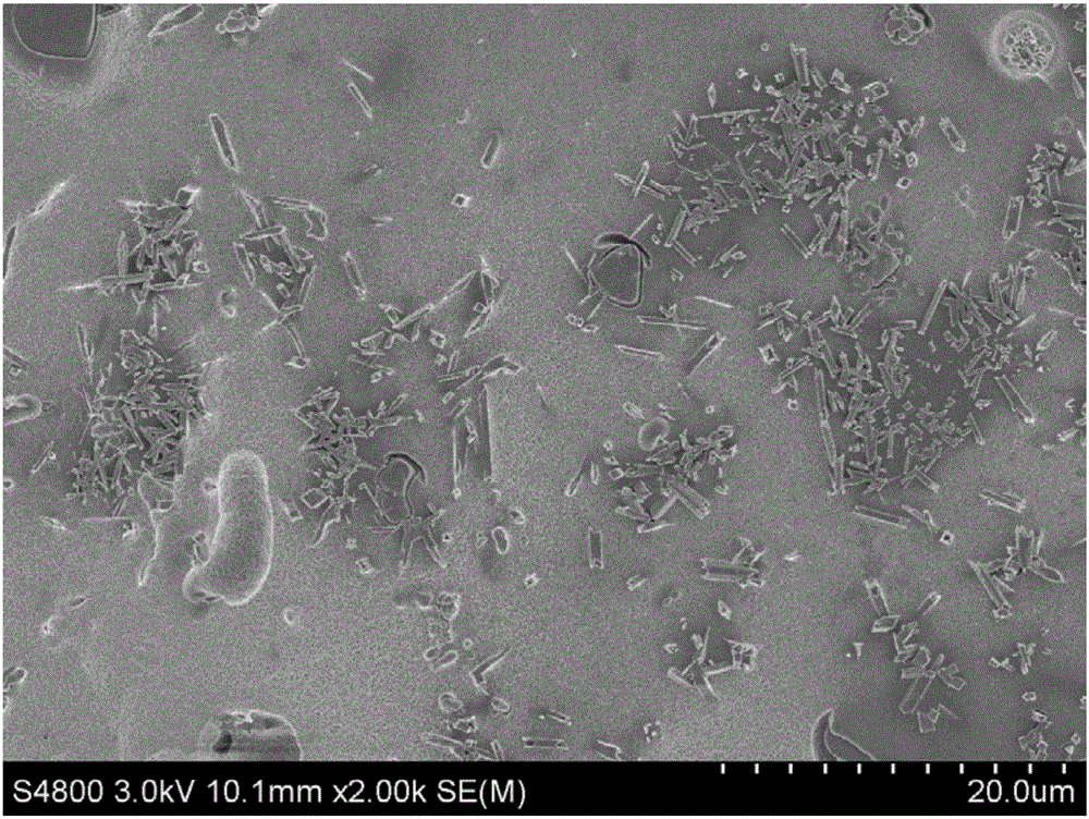 Yijun-sand-based matte porcelain glaze and preparation method thereof