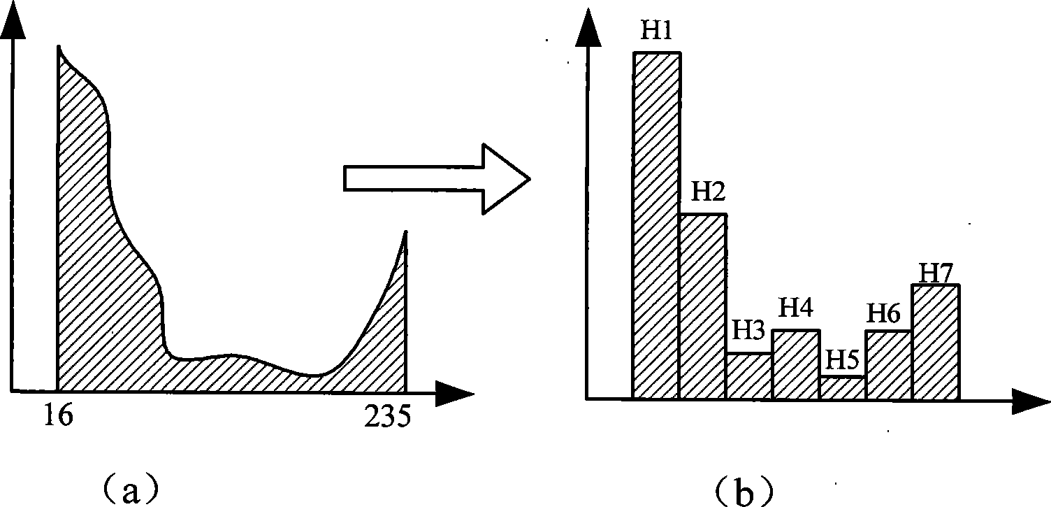 Apparatus for enhancing digital image luminance contrast