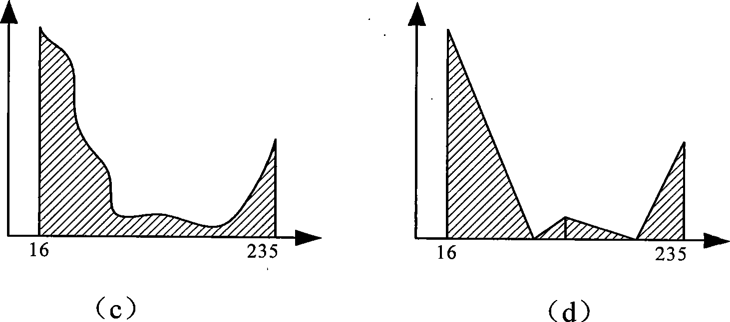 Apparatus for enhancing digital image luminance contrast