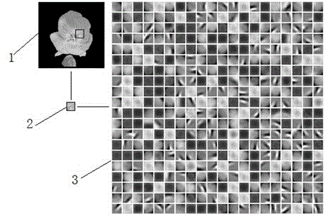 Firework identification method and firework identification system based on deep learning of image