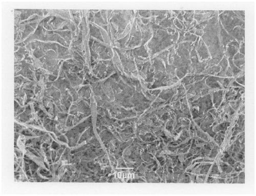 Dried cellulose fibers, cellulose fiber-resin composite, and molded article