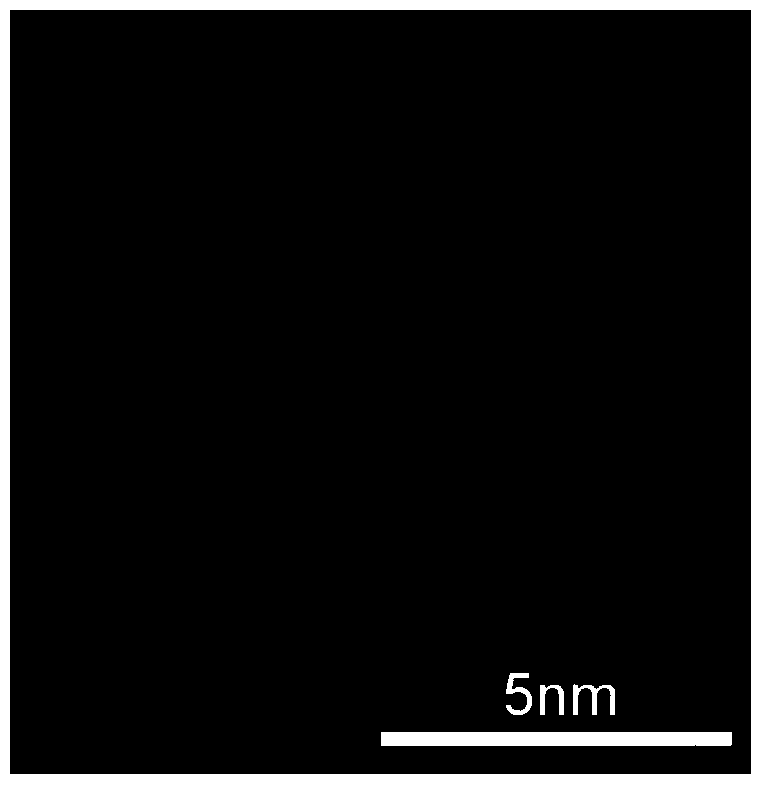 Method for preparing honeycomb-type multiporous foam carbon with high specific surface area from larix gmelini sawdust