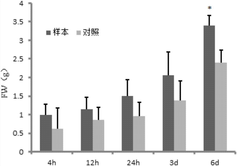 Method for promoting accumulation of salvia miltiorrhiza hairy root rosmarinic acid