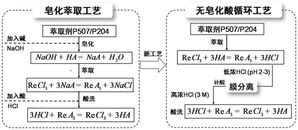 New membrane process reinforced saponification-free rare earth extraction and separation technology