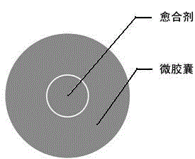 Bionic self-healing material for air leakage stoppage in coal mine