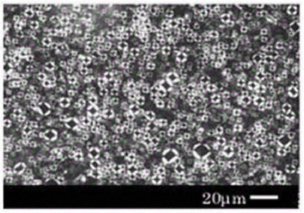 Moisturizing and repairing composition and epidermis biomimetic membrane liquid crystal complex constructed therefrom