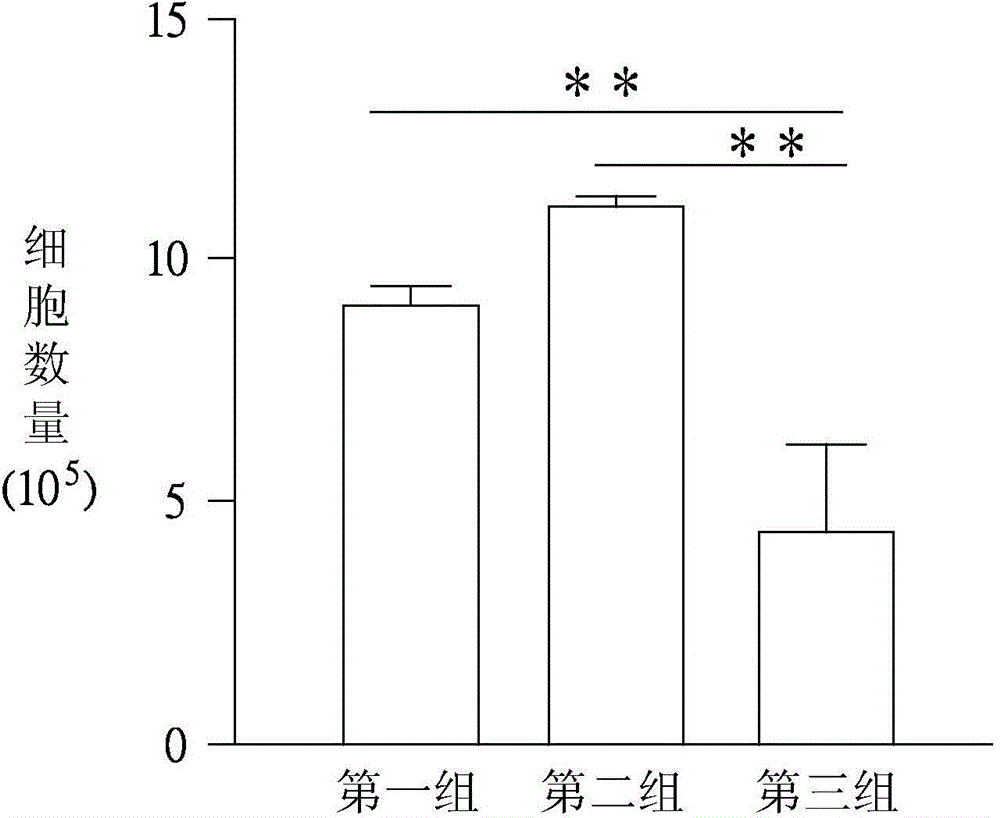 Uses of butylidenephthalide and method for preparing pharmaceutical composition from butylidenephthalide