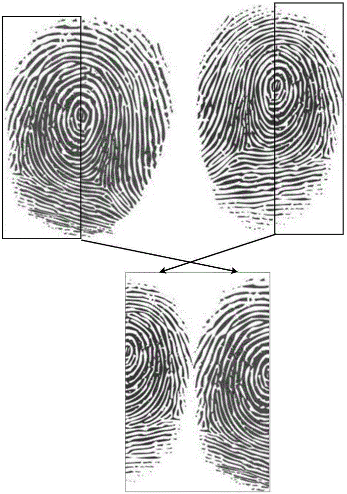 Fingerprint verification method and apparatus