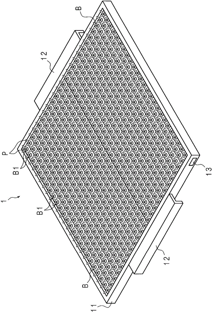 Cultivation system