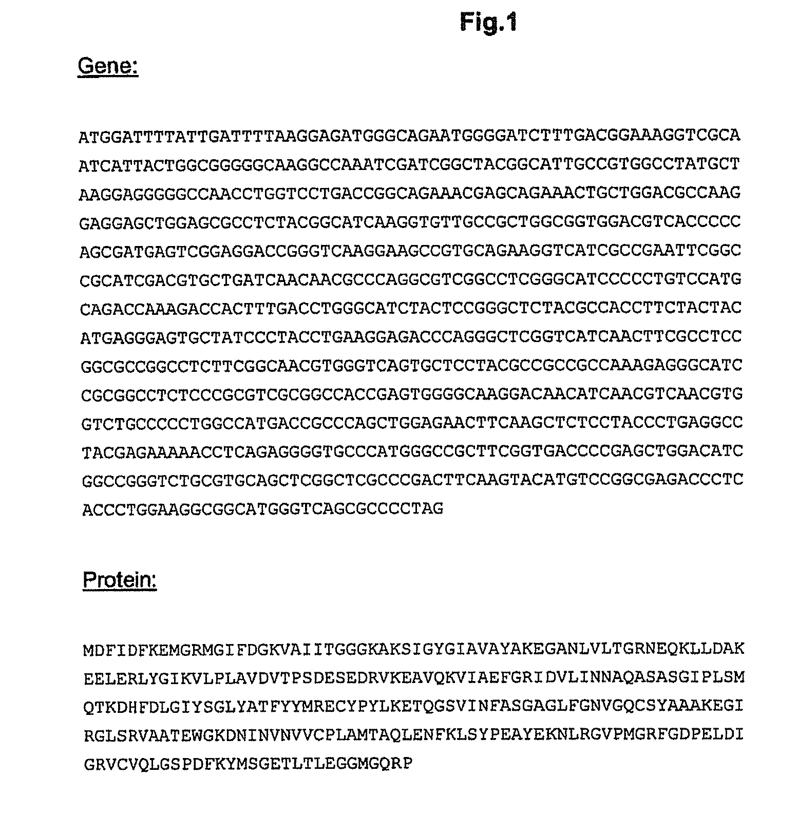 Novel 12 alpha-hydroxysteroid dehydrogenases, production and use thereof