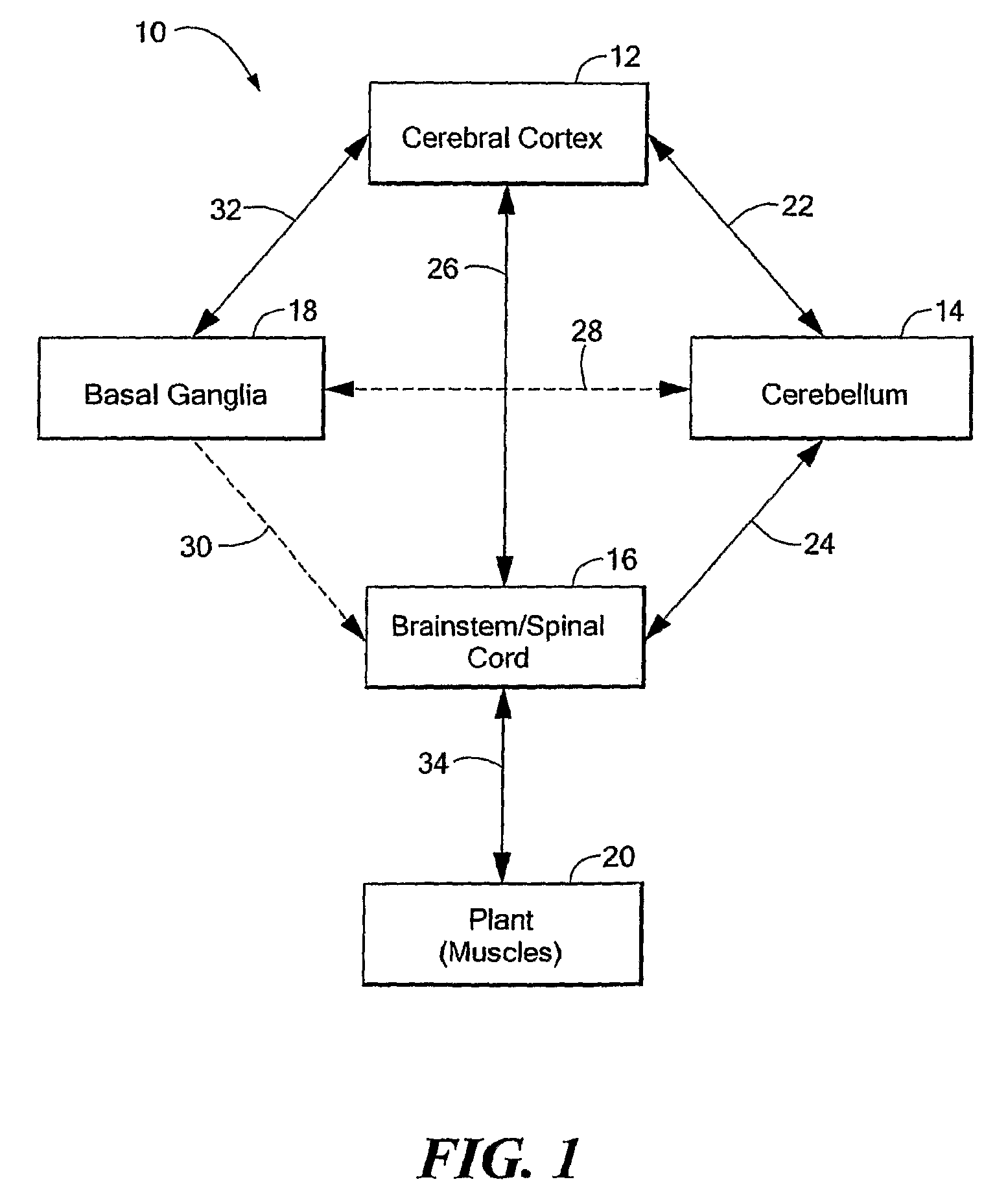 Computer-Implemented Model of the Central Nervous System