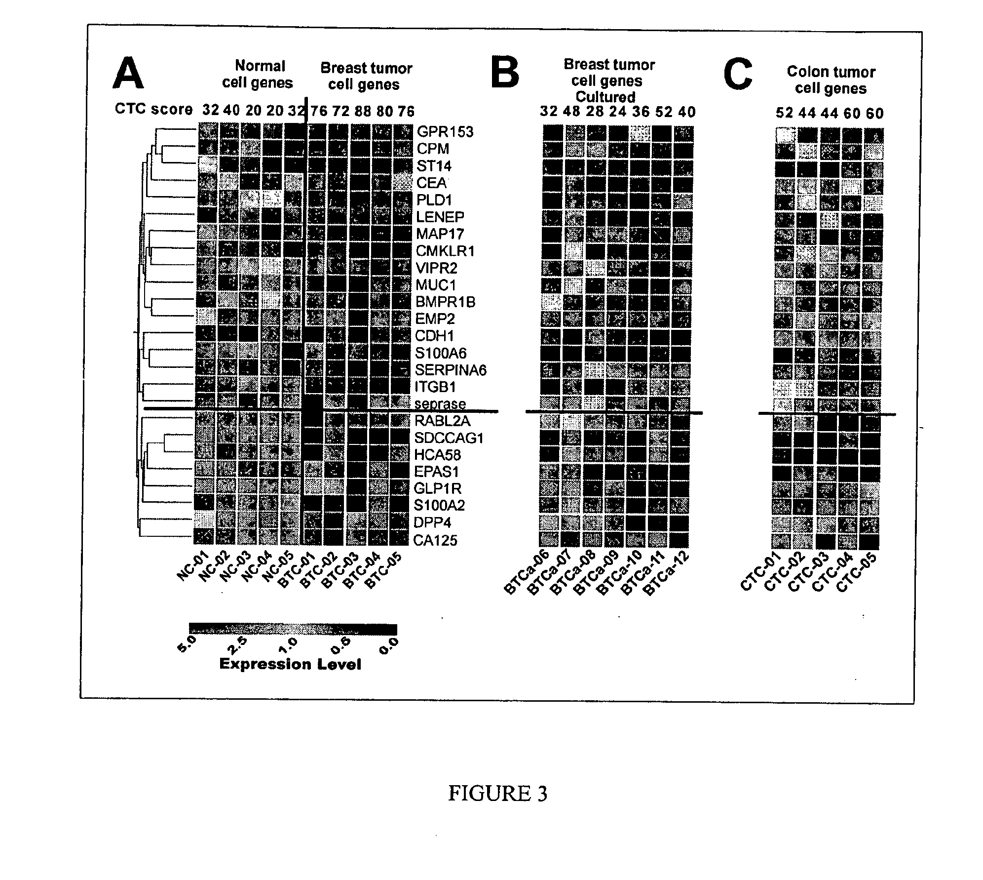 Gene expression signatures in enriched tumor cell samples