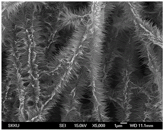 Preparation method of zinc oxide nanowire array/carbon nanofiber composite material