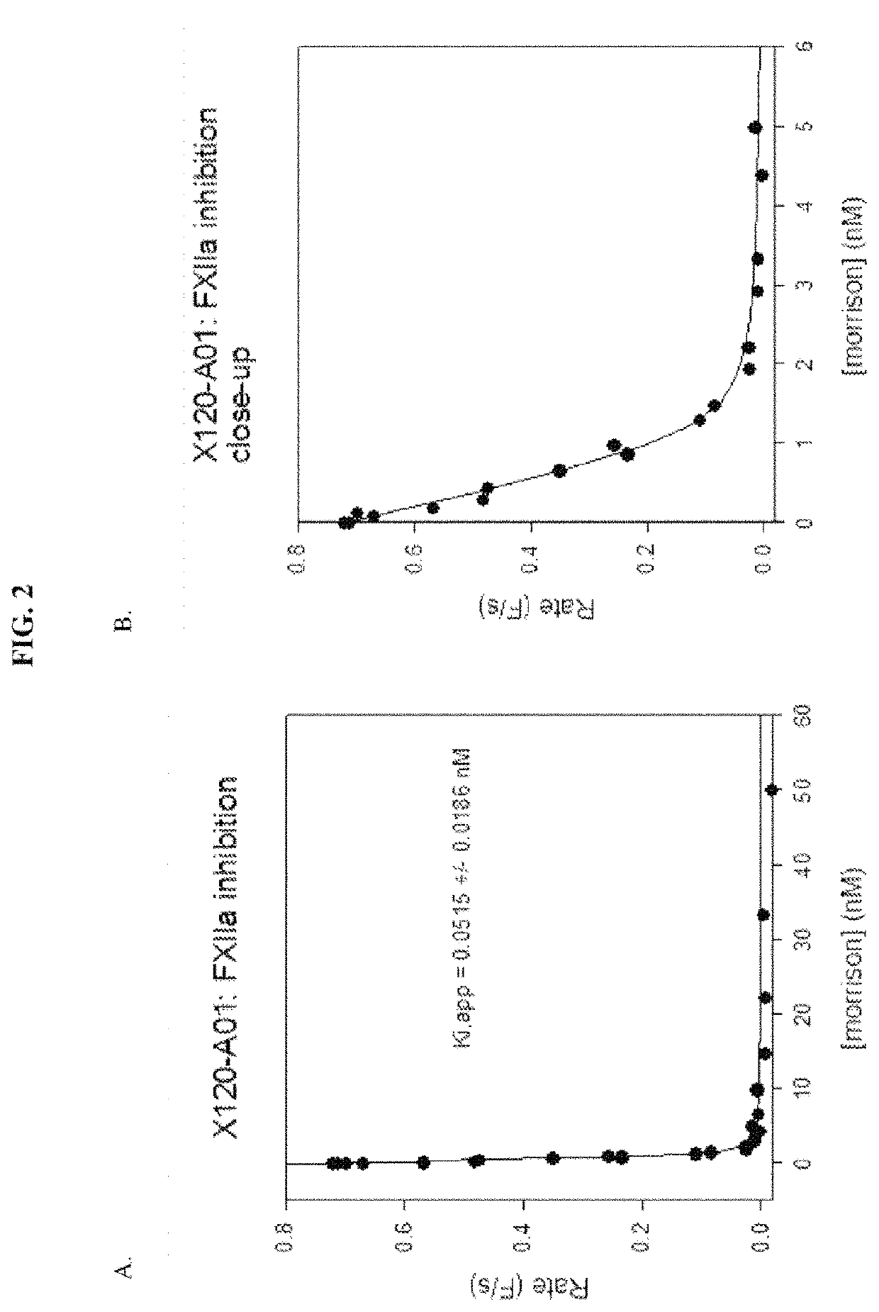 Bispecific antibodies against plasma kallikrein and Factor XII