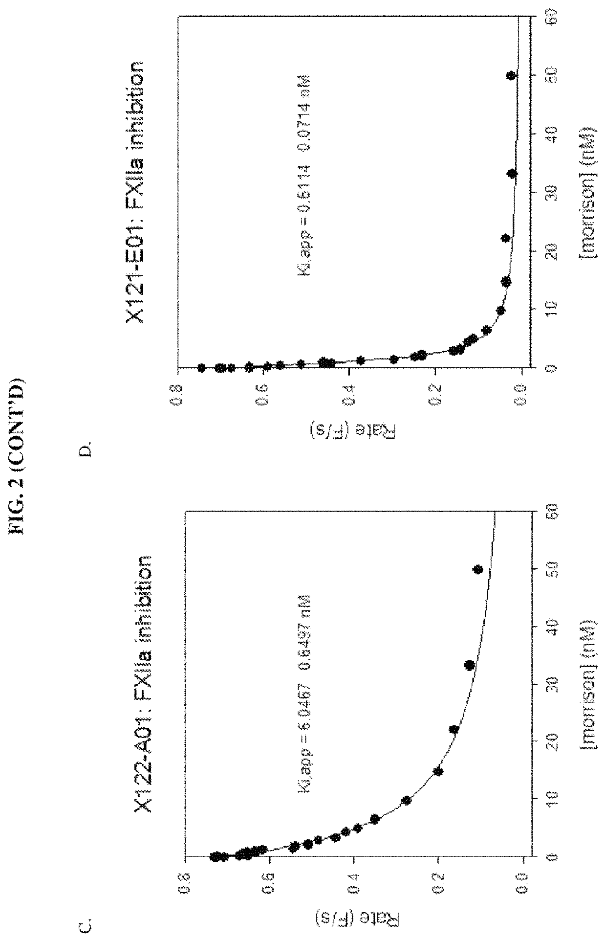 Bispecific antibodies against plasma kallikrein and Factor XII