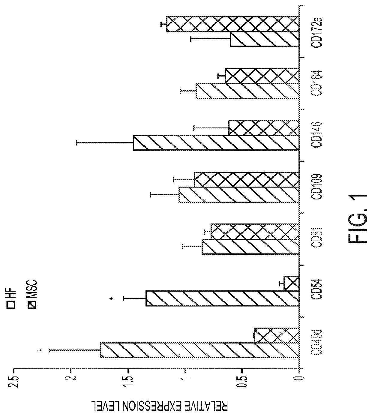 Enhanced differentiation of mesenchymal stem cells