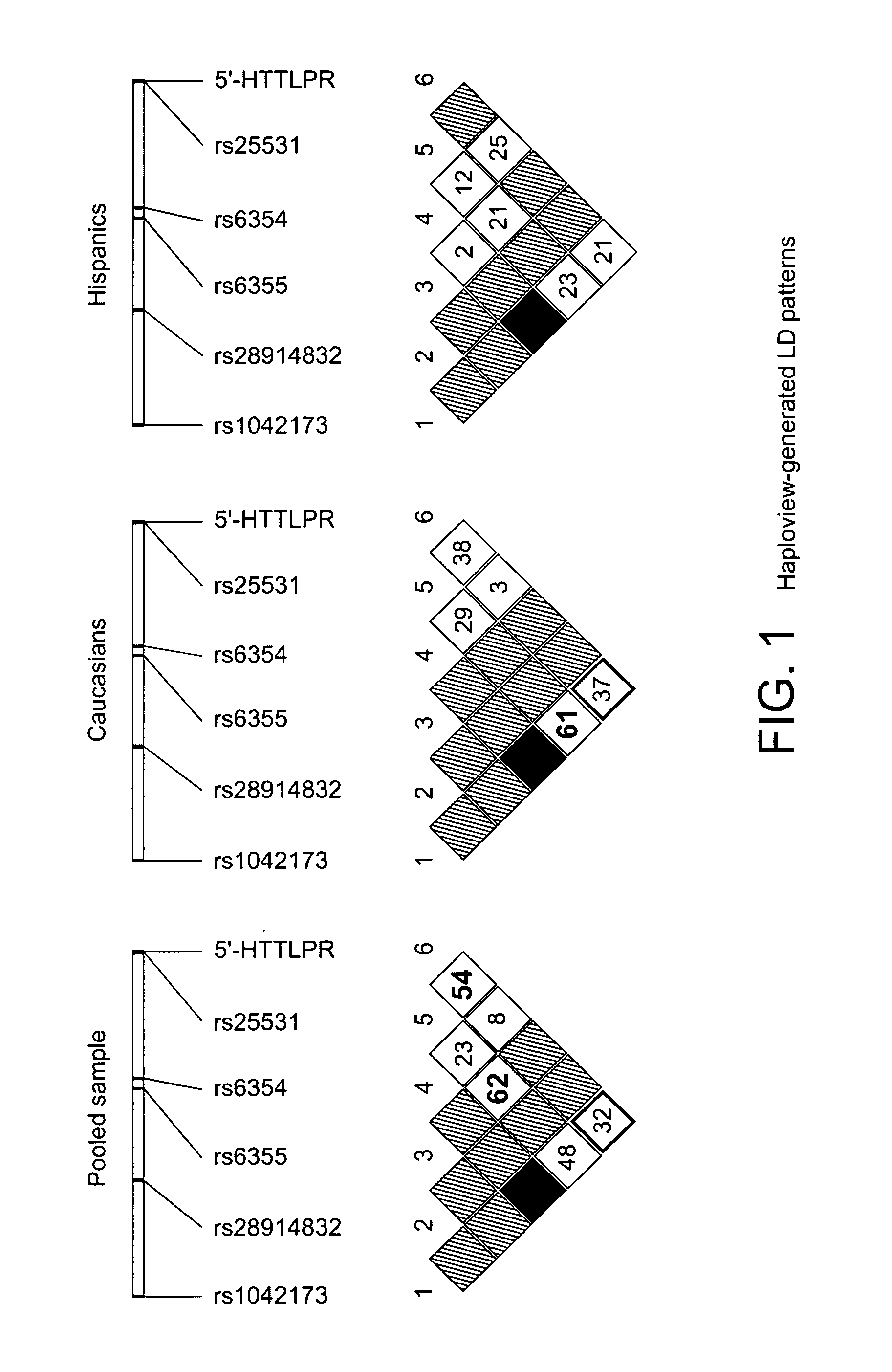 Serotonin transporter gene and treatment of alcoholism