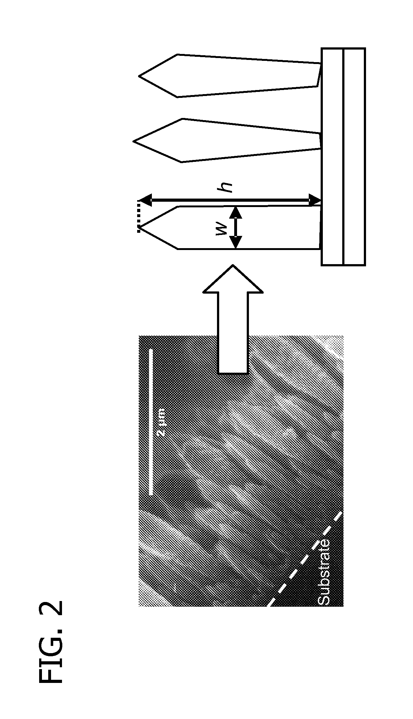 Synthesis of nanostructured photoactive films with controlled morphology by a flame aerosol reactor