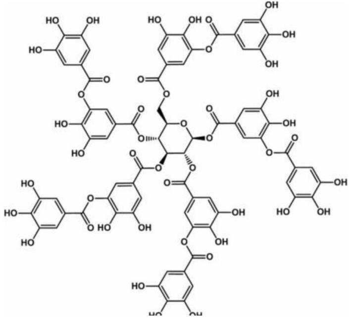 Washing-resistant alginate fiber and preparation method thereof