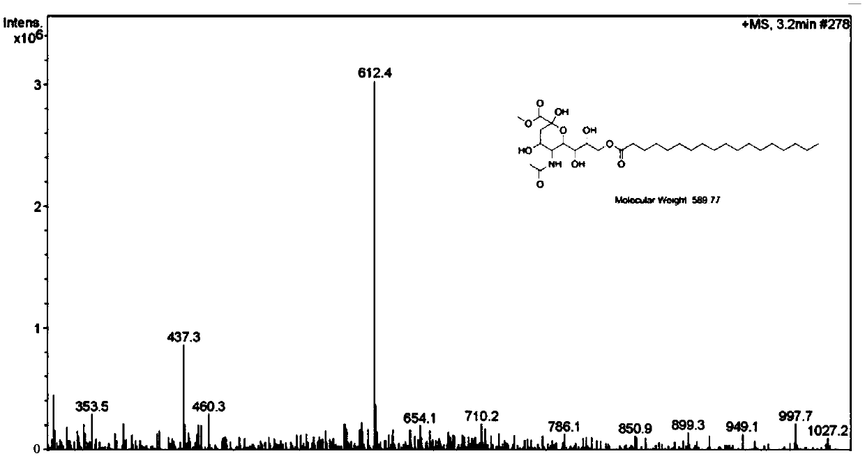 Sialic acid lipid derivative and preparation method and application thereof