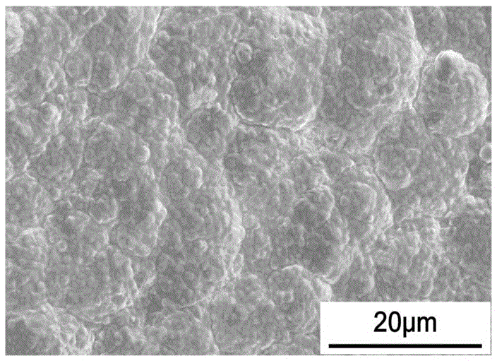 Molten salt electroplating preparation method of iridium coating with non-columnar grain structure