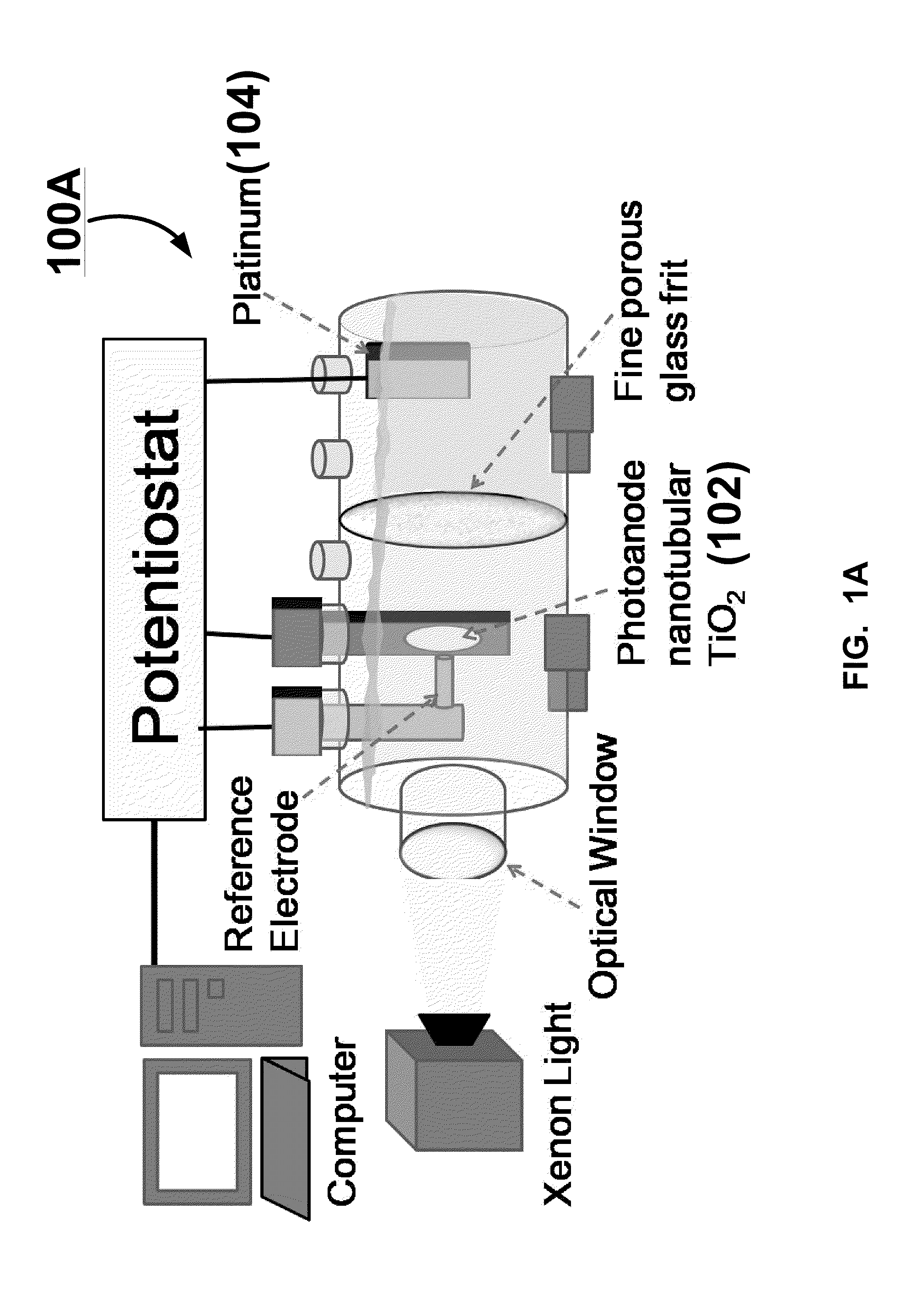 ENHANCED BONE CELLS GROWTH AND PROLIFERATION ON TiO2 NANOTUBULAR SUBSTRATES TREATED BY RADIO-FREQUENCY PLASMA DISCHARGE