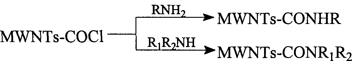 Method for preparing carbon nanometer tube in large-scale