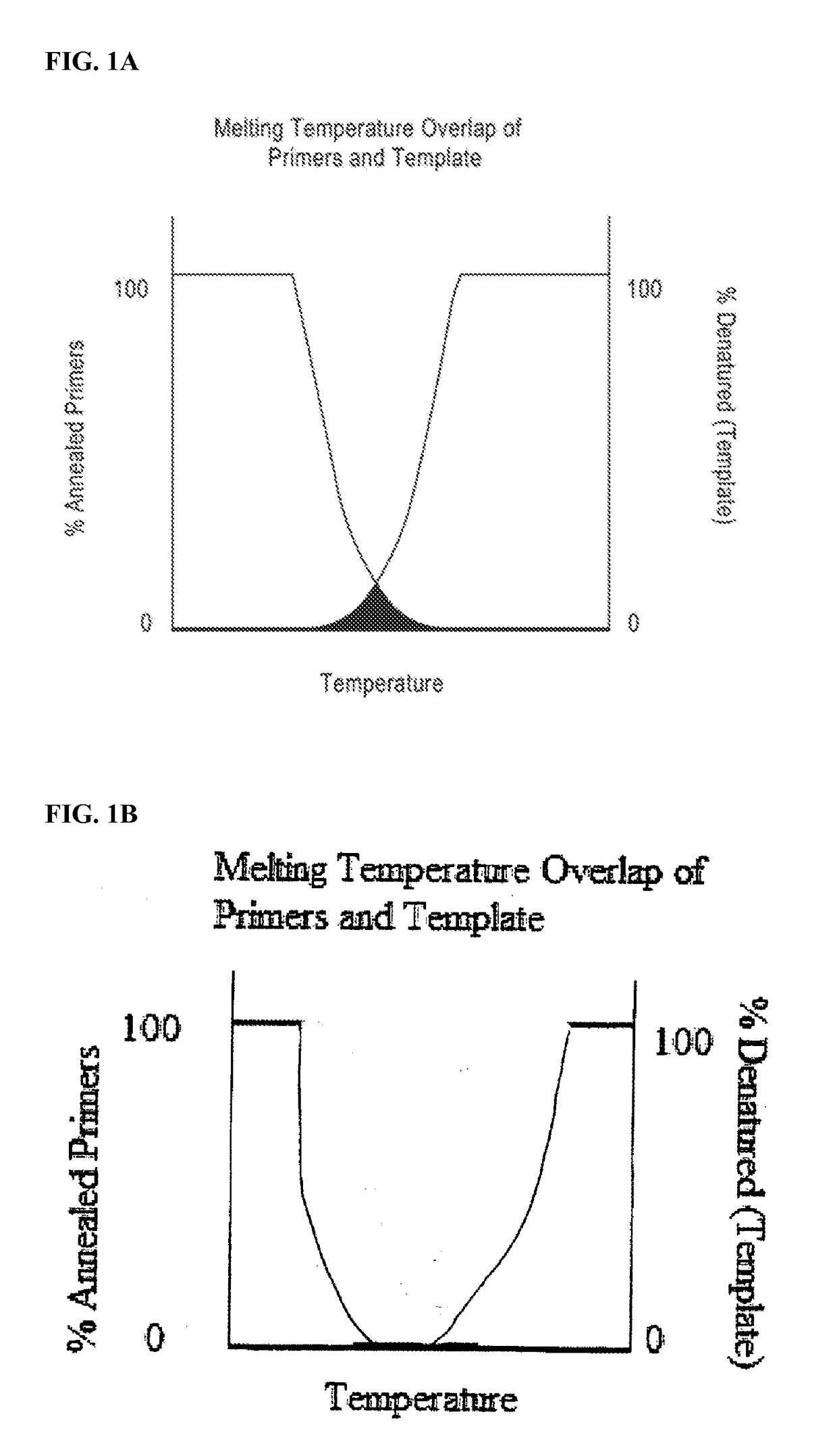 DNA amplification technology