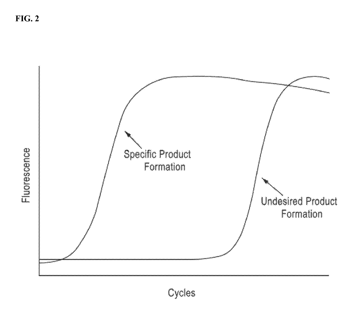 DNA amplification technology