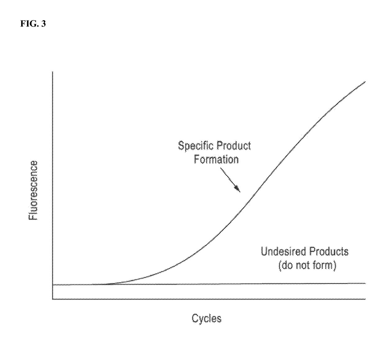 DNA amplification technology