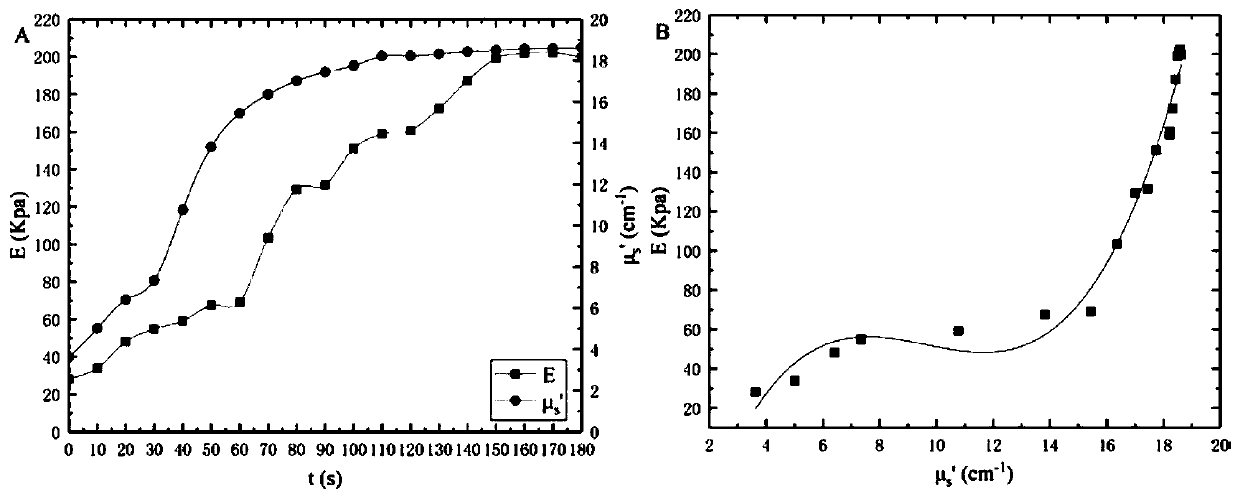 Microwave ablation tissue Young modulus real-time evaluation method and device based on reduced scattering coefficient