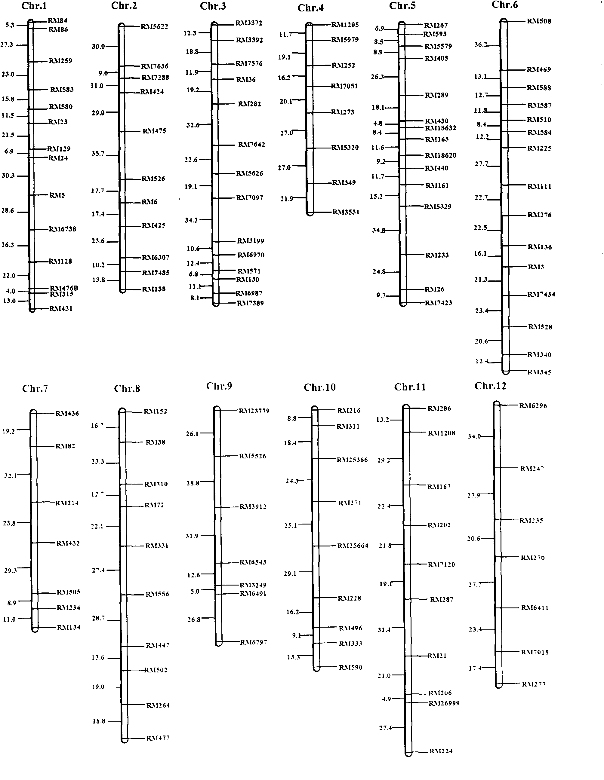 SSR (simple sequence repeat) markers, linked with LRPW (loss rate of panicle weight) related Aphelenchoides besseyi Christie resistant QTL (quantitative trait loci), on chromosome 5 and application thereof