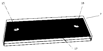 Handheld general microfluidic chip real-time detection device and application