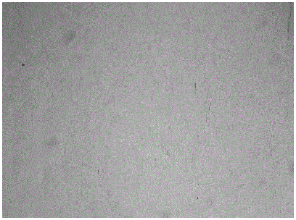 Treatment method of copper foil used for graphene film growth and copper foil prepared by adopting same