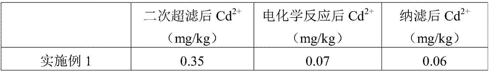 Method for synergistically preparing low-cadmium rice protein peptide by utilizing composite membrane and electrochemistry