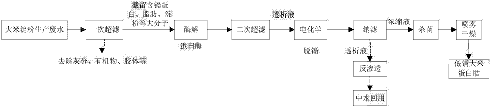 Method for synergistically preparing low-cadmium rice protein peptide by utilizing composite membrane and electrochemistry