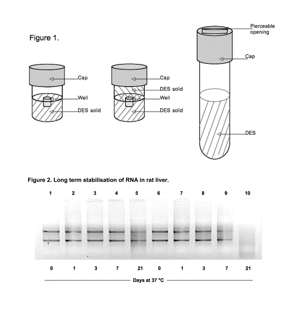 Sample fixation and stabilisation